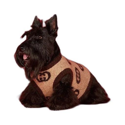 Pet wool blend jumper with Interlocking G