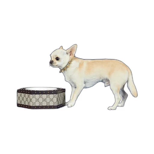 Hexagon GG pet bowl