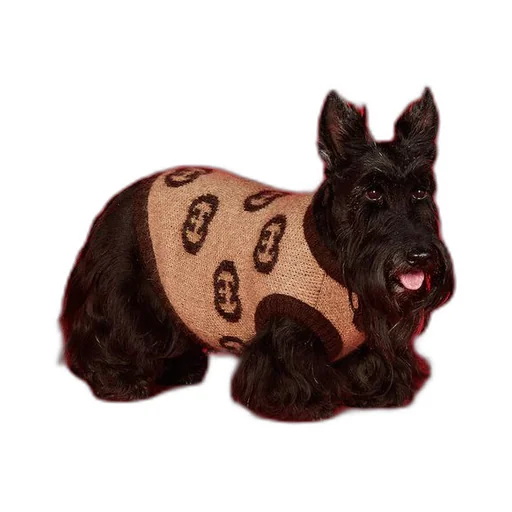 Pet wool blend jumper with Interlocking G