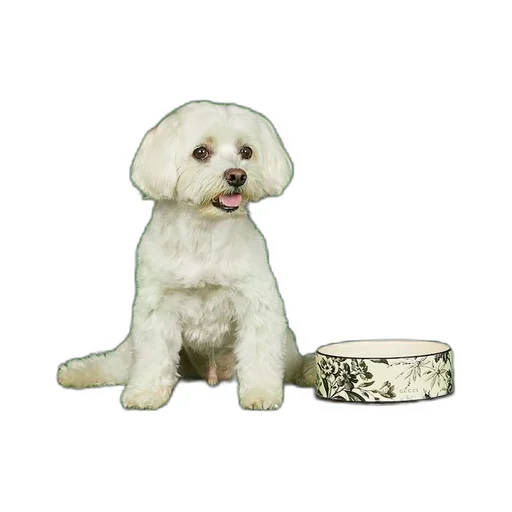 Large Herbarium print pet bowl