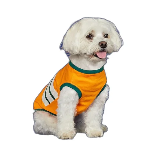Pet cotton T-shirt with Interlocking G