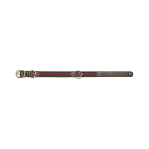 Large/extra-large pet collar