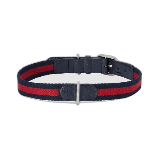 Large/extra-large pet collar