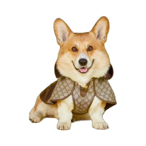 Pet GG coat