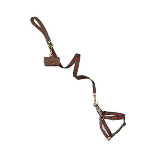 Large Web pet leash