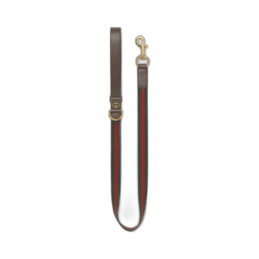 Large Web pet leash