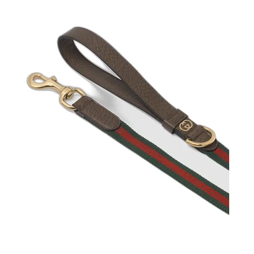 Large Web pet leash