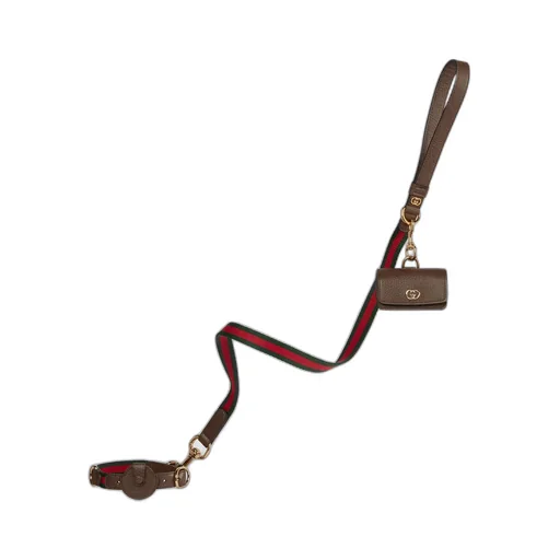 Small/medium pet leash