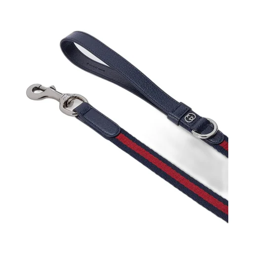 Small/medium pet leash