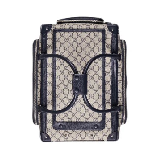 Small GG pet carrier with Web
