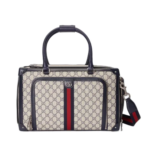 Small GG pet carrier with Web