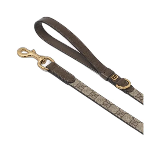 Small/medium pet leash