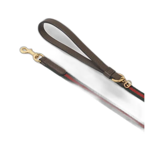 Extra-small pet leash