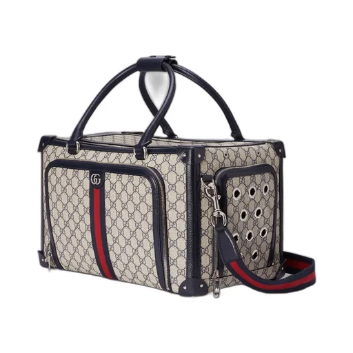 Small GG pet carrier with Web