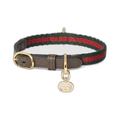 Extra-small pet collar