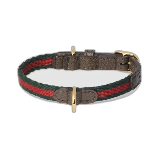 Extra-small pet collar