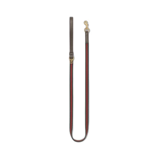 Extra-small pet leash