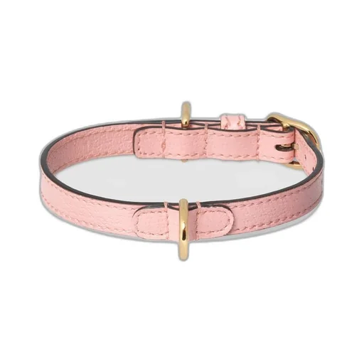 Extra-small pet collar