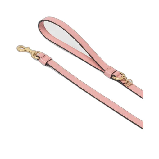 Extra-small pet leash