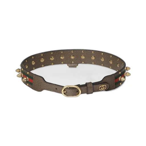 Medium/large pet choker
