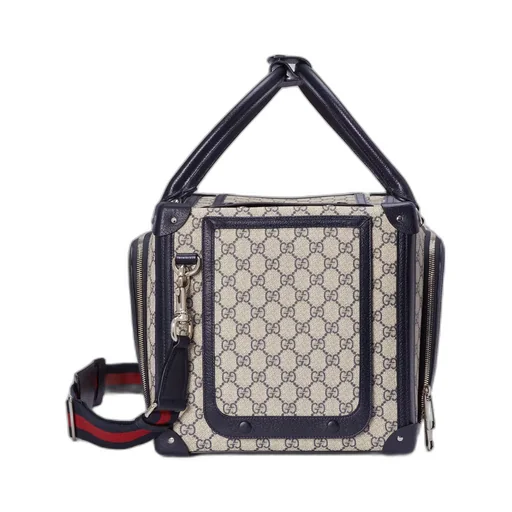 Small GG pet carrier with Web