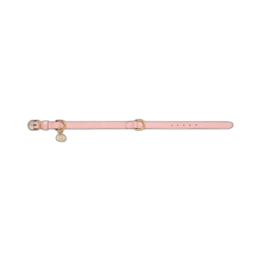Extra-small pet collar