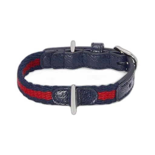 Extra-small pet collar