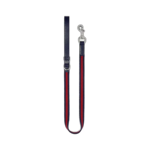 Small/medium pet leash