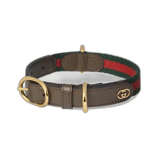 Small/medium pet collar