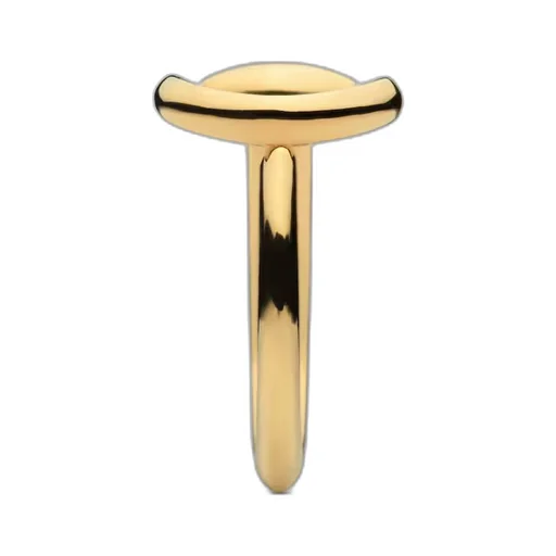 18k Horsebit ring