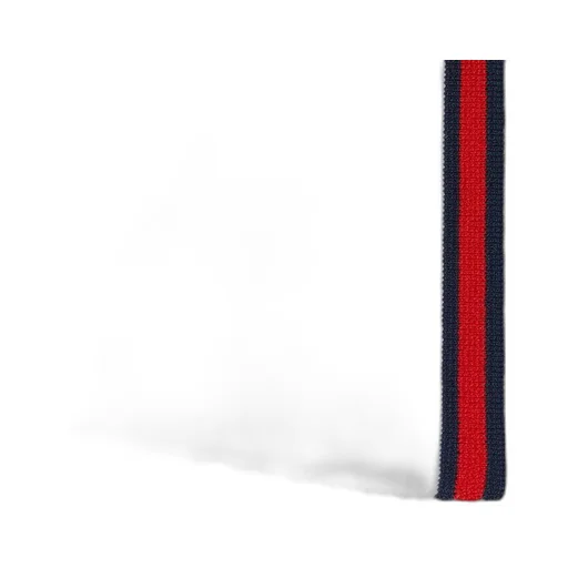 Polo dress with Web trim