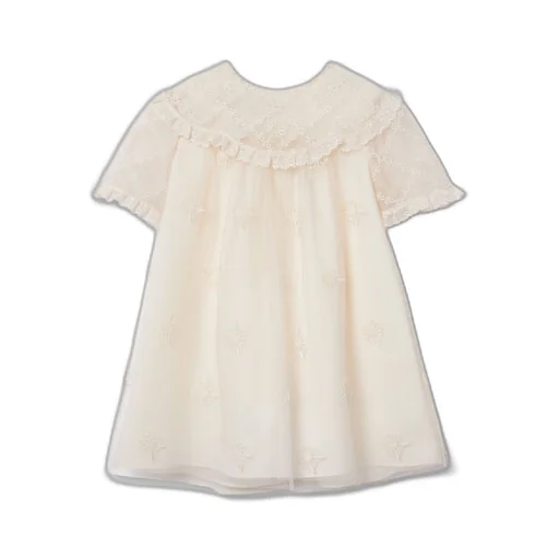 Baby embroidered tulle dress