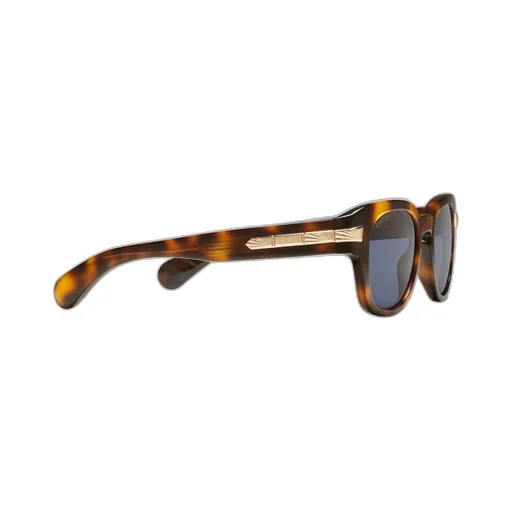 Oval frame sunglasses