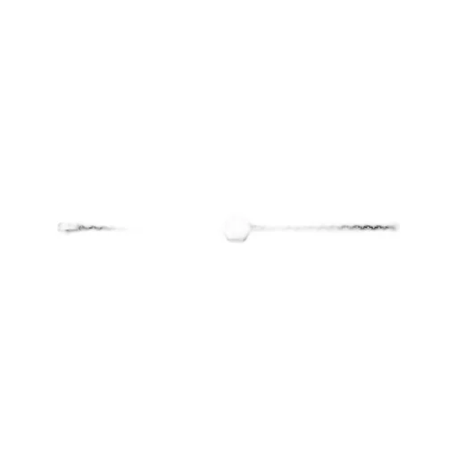 Trademark bracelet