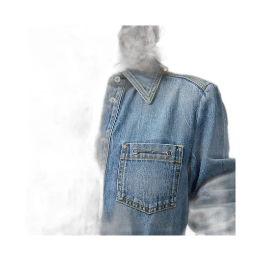 Organic denim dress with Horsebit