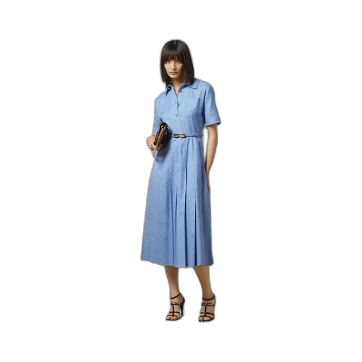 Oxford cotton dress