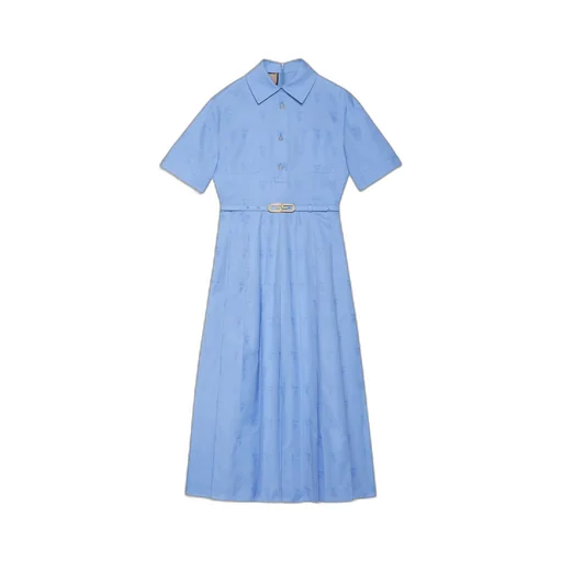 Oxford cotton dress