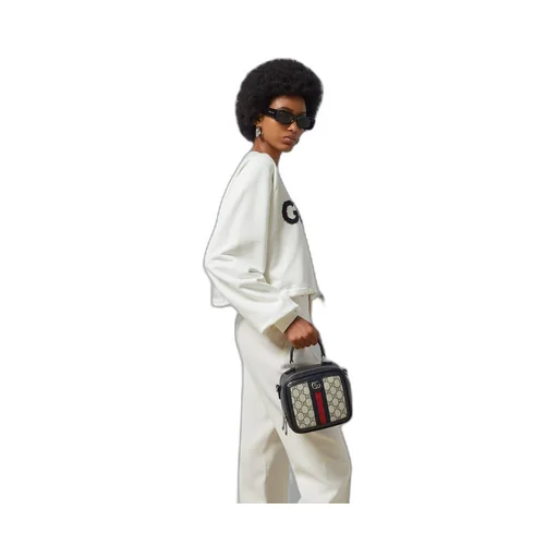 Ophidia GG mini top handle bag