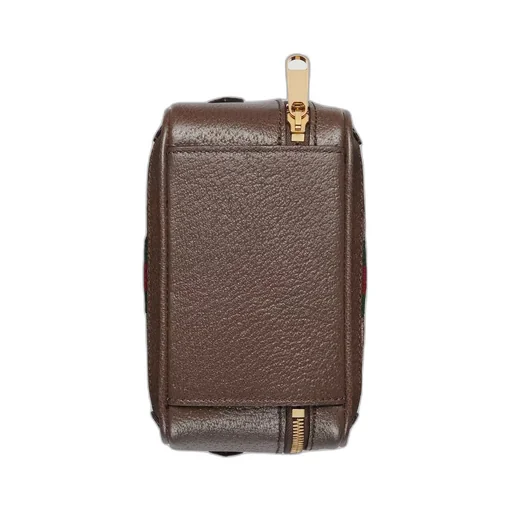 Ophidia GG mini top handle bag