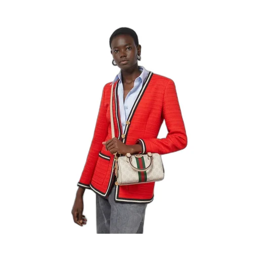 Ophidia GG mini top handle bag