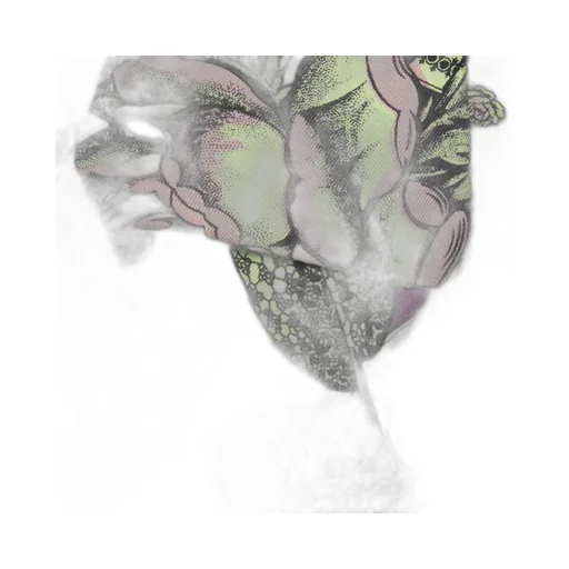 Paisley print silk shirt