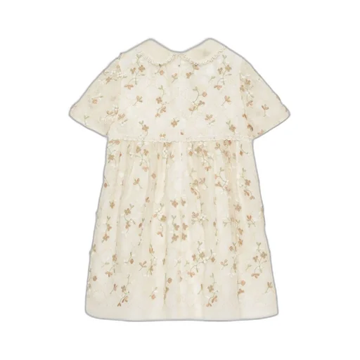 Children's embroidered silk organza dress
