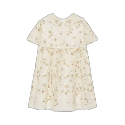 Children's embroidered silk organza dress
