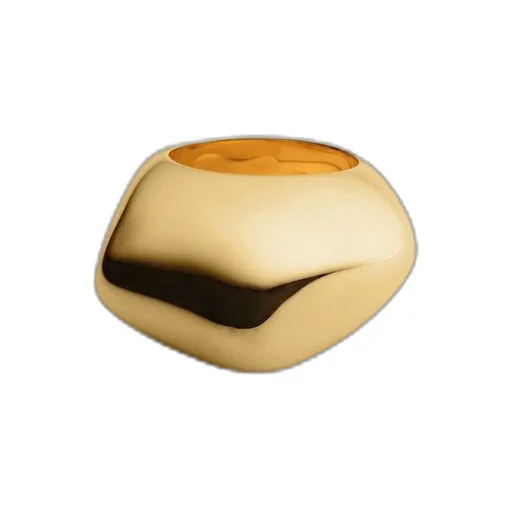 Fin Ring