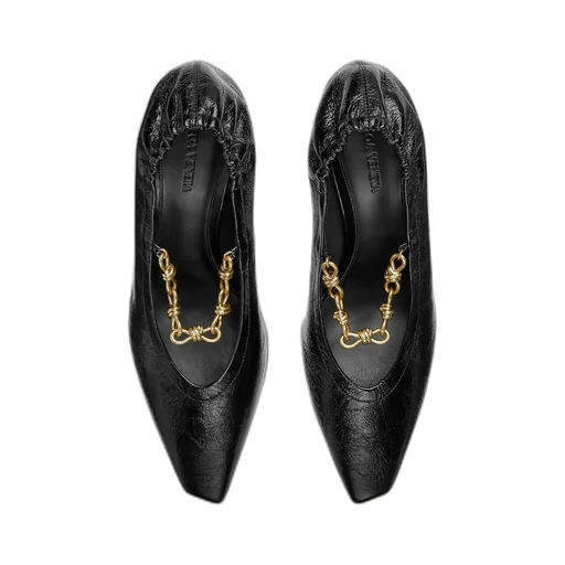 Sharp Chain Pump