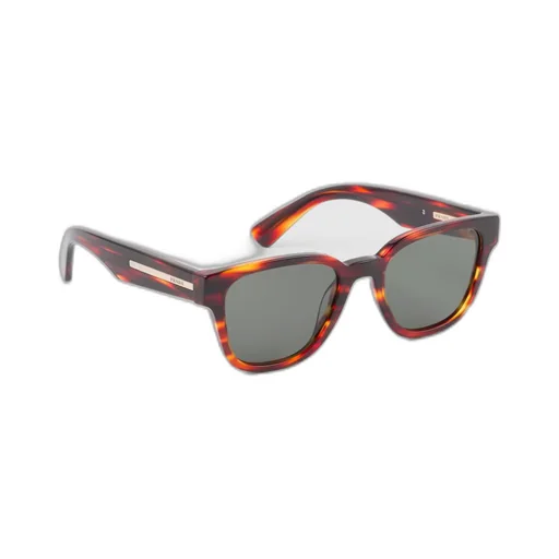 Sunglasses with iconic metal plaque