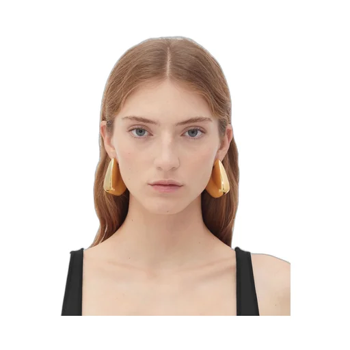 Large Fin Earrings