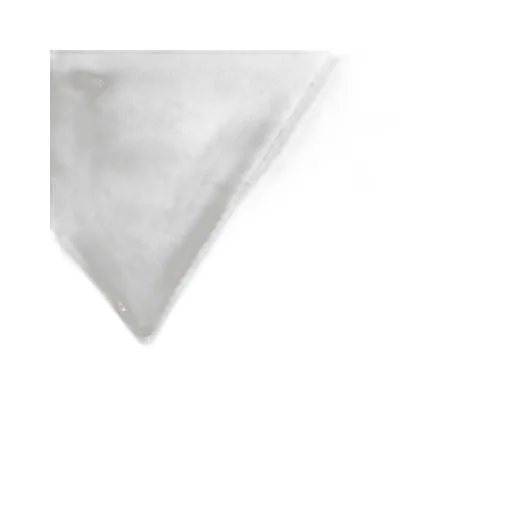 Cotton poplin shirt