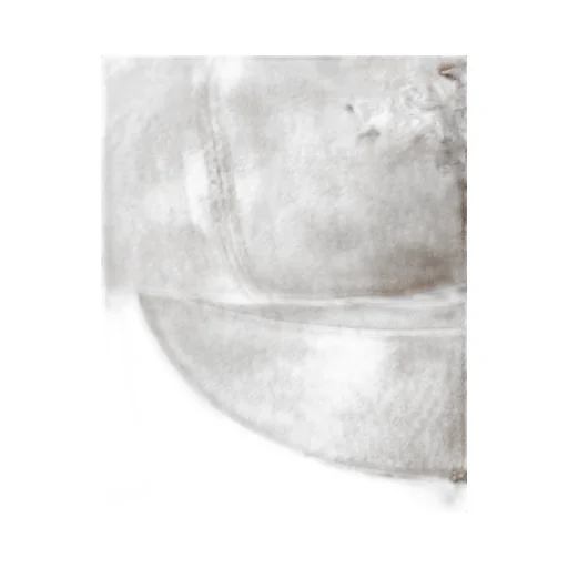 Canvas newsboy cap