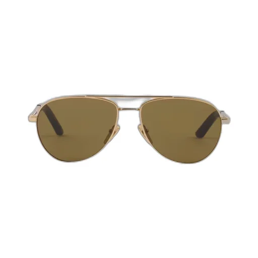 Sunglasses with iconic metal plaque